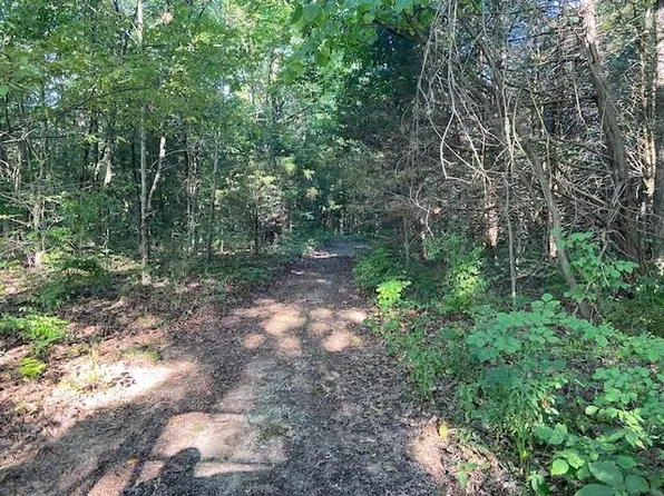 999 Harding Rd, Mount Olivet, KY 41064