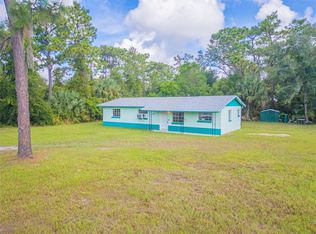 410 Collins Rd, Osteen, FL 32764