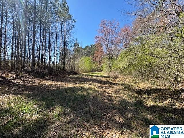 1st image of 26315 Highway 77 Tract