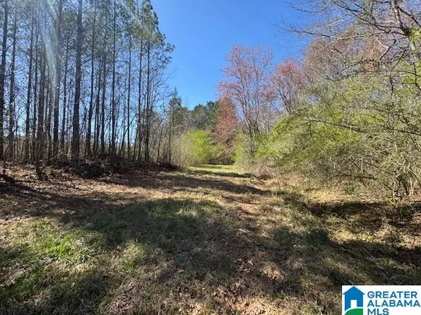 26315 Highway 77 Tract, Wadley, AL 36276
