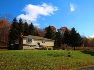 1054 Scott Rd, Bloomville, NY 13739