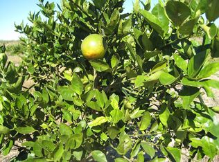 PLATT Road, Frostproof, FL 33843