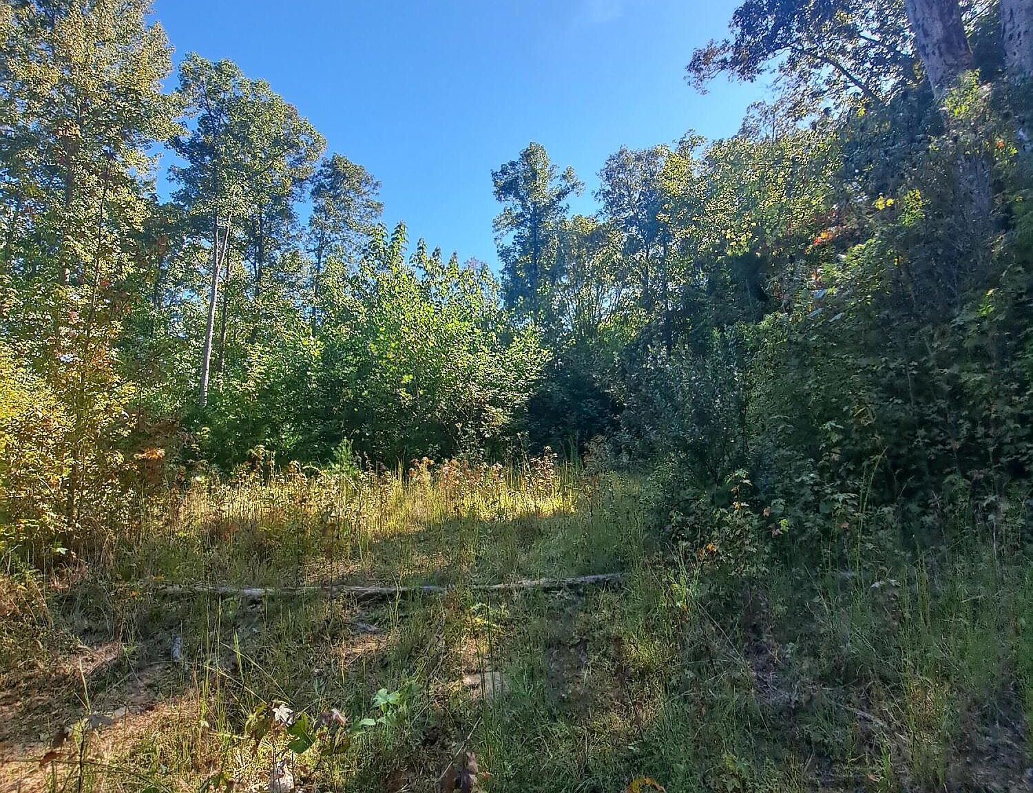 Tenn Ky, Winfield, TN 37892 MLS 1245118 Zillow