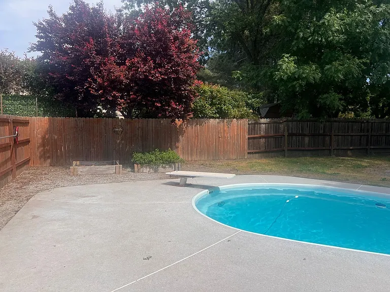 3257 Seedling Dr — Photo 21