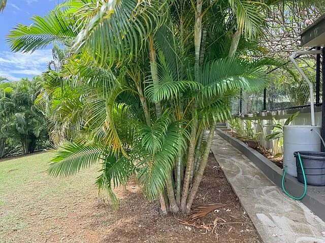 8-UNIT-2 Hope Est — Photo 15