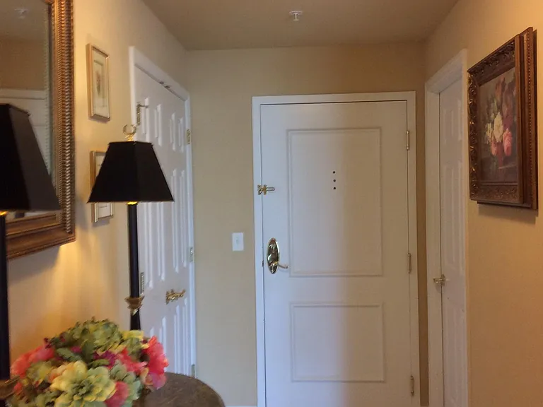 345 Bayshore Blvd #908 — Photo 23