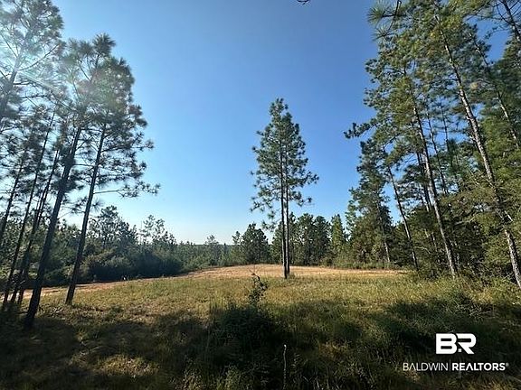 3rd image of 11865 Red Hill Road Ext