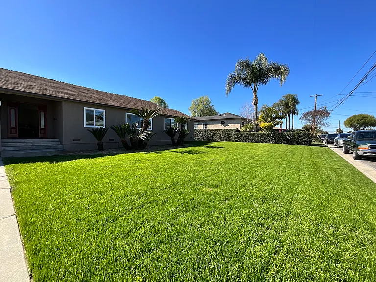 Front yard