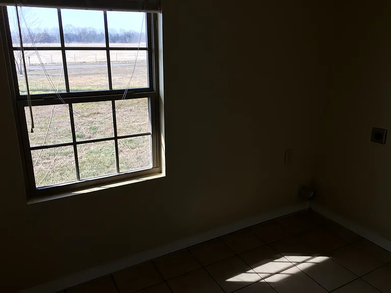 1876 Pleasant Grove Loop — Photo 6