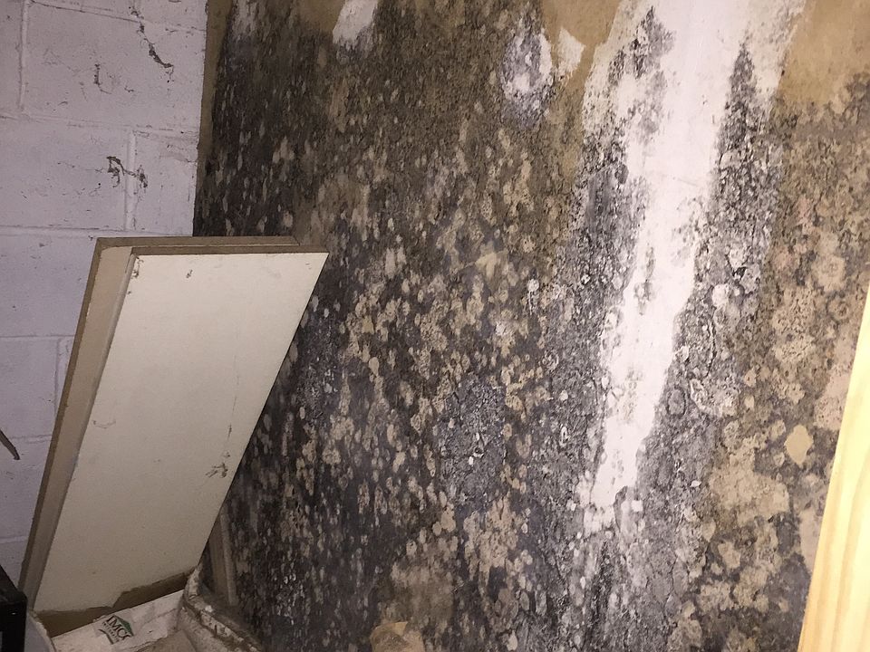 1st image of 148 Trails End