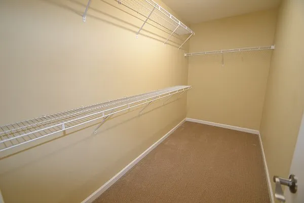 109 Honey Creek Ln — Photo 25