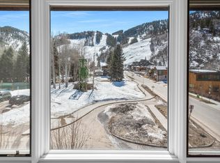 205 E Durant Ave APT 3E, Aspen, CO 81611