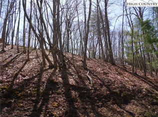 #31 & #32 Happy Ridge Road #3132, Piney Creek, NC 28631