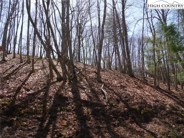 #31 & #32 Happy Ridge Road #3132, Piney Creek, NC 28631