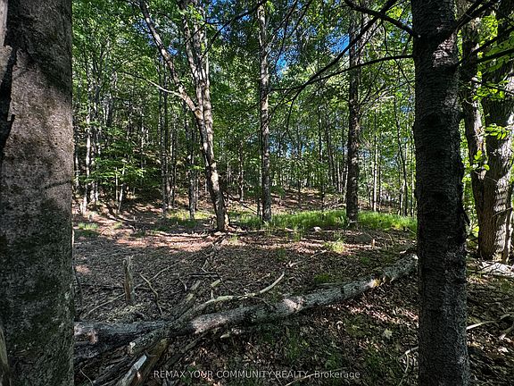 5th image of 1025 Meadowview Rd