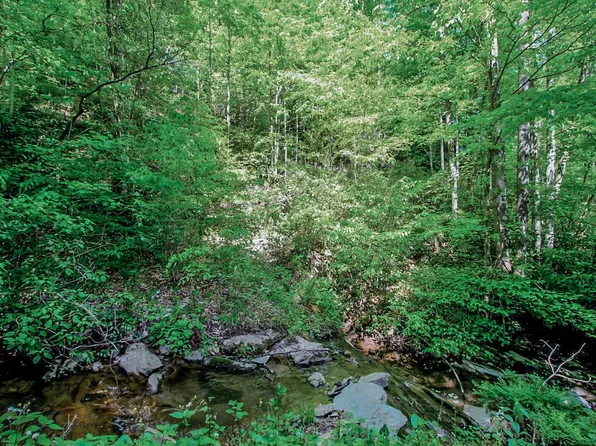 Par 4.03 Big Creek Rd, Hartford, TN 37753