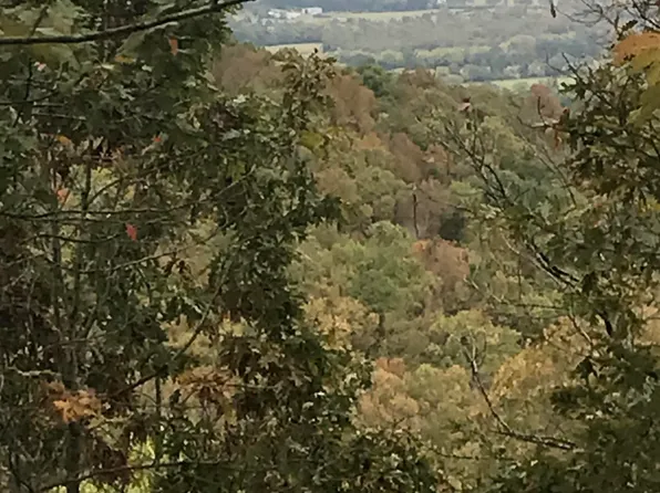 Misenheimer, Mountain View, AR 72560