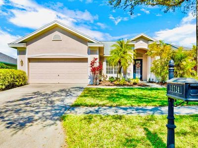 10724 Tavistock Dr, Tampa, FL, 33626