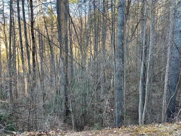 50 Rustling Woods Trail, Cullowhee, NC 28723