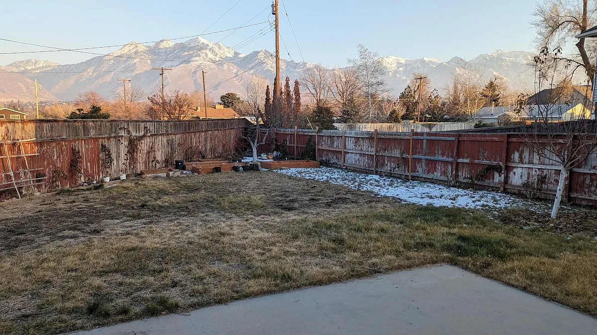 Backyard with large lawn, raised beds, fruiting trees. Fence has been repainted since this photo was taken. - 7145 S Shadow Cv