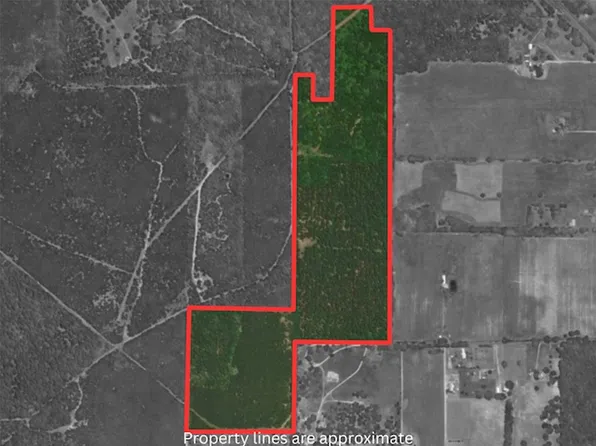 Tba County Rd #3824, Hawkins, TX 75765