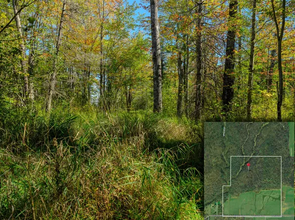 22758 S Chub Creek Rd Lot 4, Rudyard, MI 49780