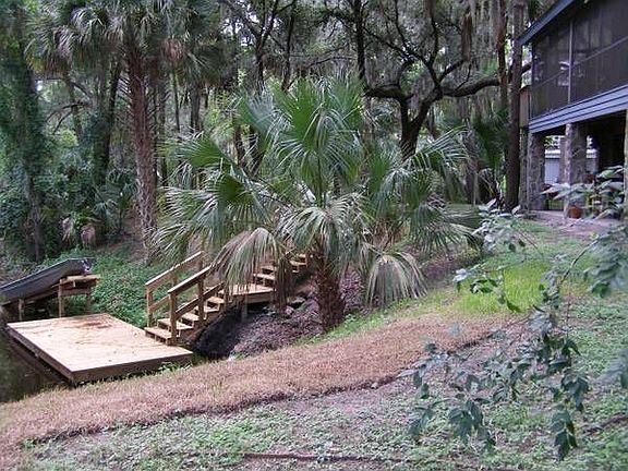 backyard & dock
