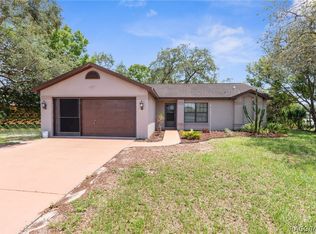 7384 Flyway Dr, Spring Hill, FL 34607