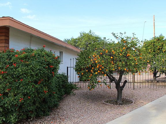 5th image of 4232 E Calypso Ave