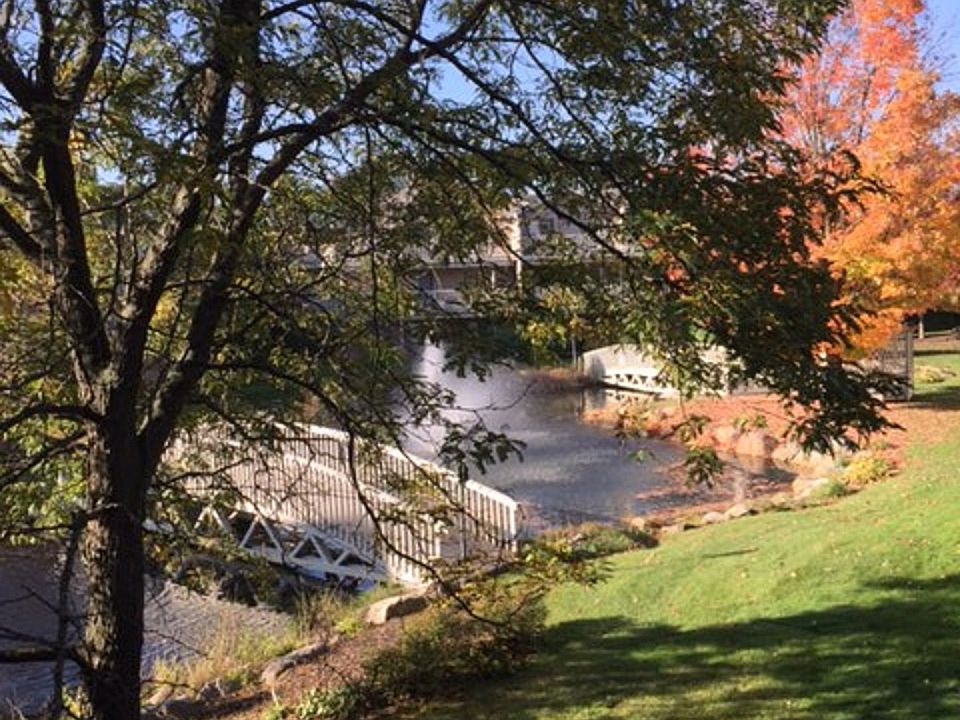 View from deck