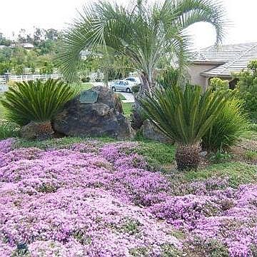 2nd image of 13371 Sage Meadow Ln
