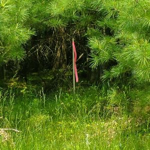 Off Cth #J, Woodruff, WI, 54568