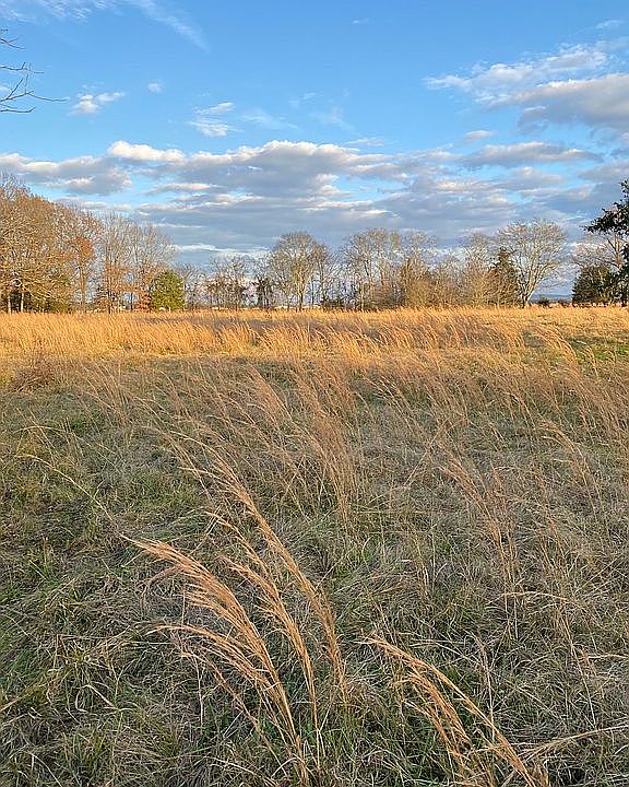 1st image of 4725 County Road 585