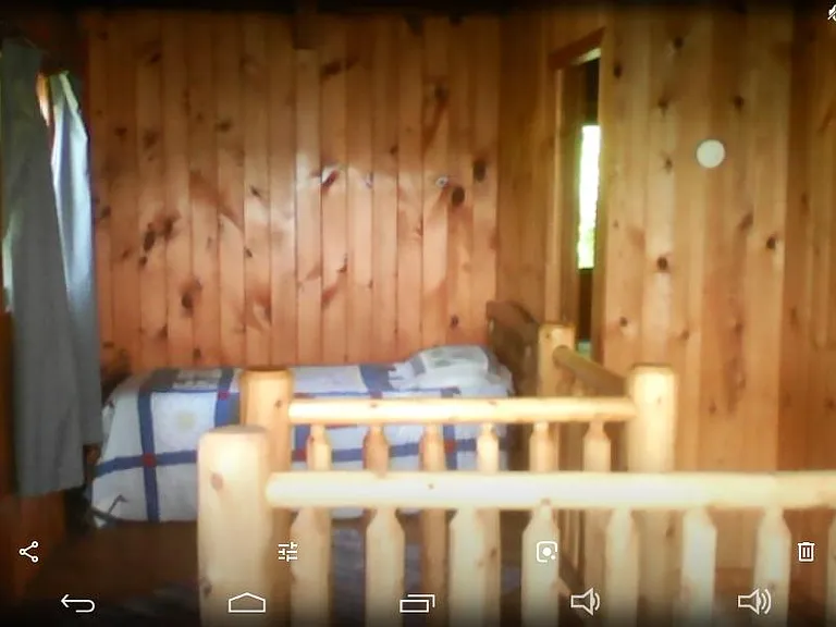 6136 Lake Leelanau Dr — Photo 16