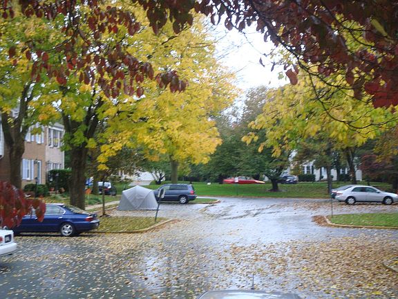 Autumn view from front door