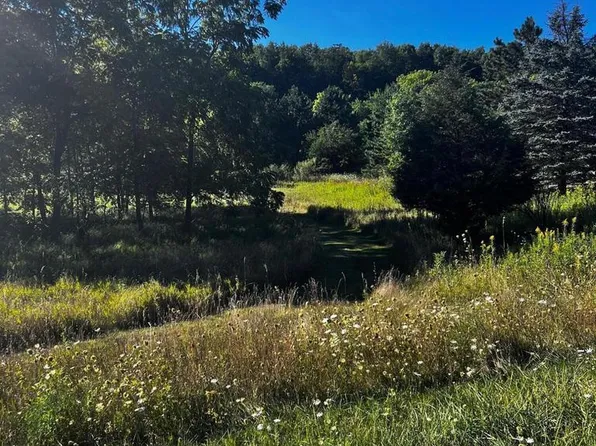 Lt2 SCUPPERNONG VALLEY COURT #CSM1913, Delafield, WI 53018