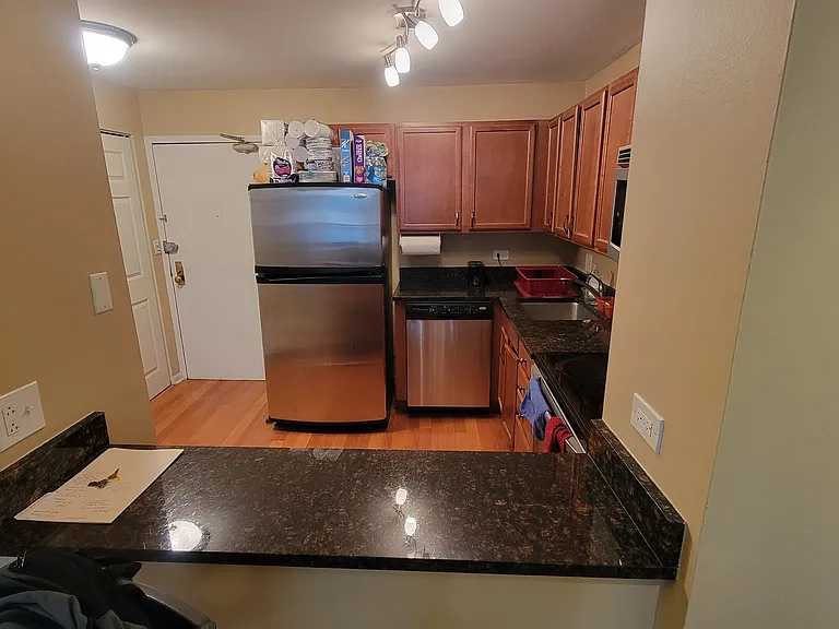 222 E Pearson St #1407 — Photo 12