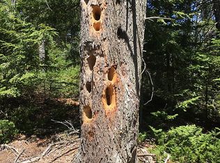 15-O Woodlands Pt Rd, West Bath, ME 04530