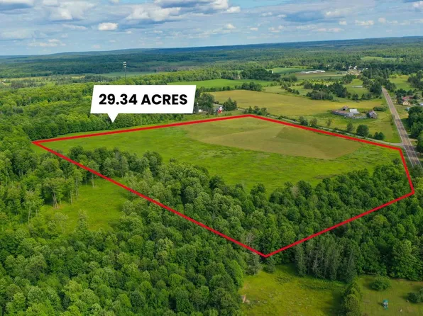 29.34 ACRES STATE HIGHWAY 55, Pickerel, WI 54465