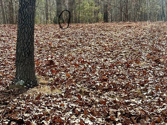 Marked Southeast Stakes