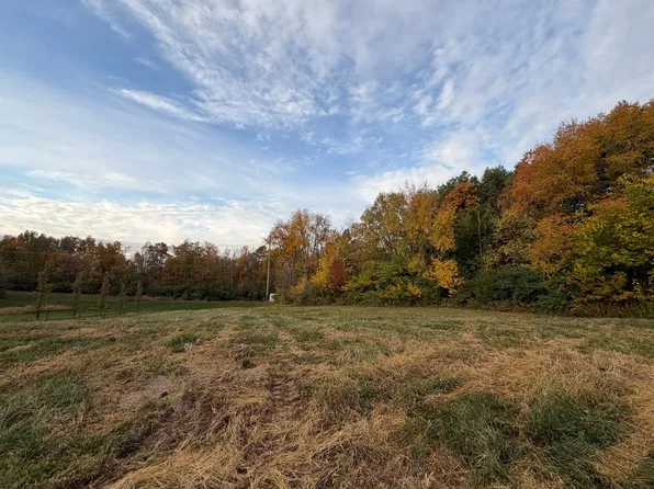100 Blueboy Ln, Downs, IL 61736