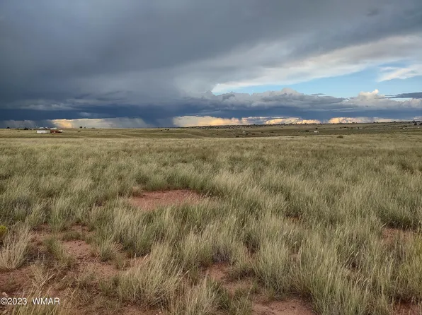 6031 6030, Saint Johns, AZ 85936