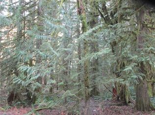 7352 Miller Way, Glacier, WA 98244