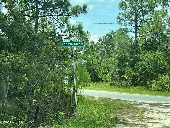 4th image of 236 PAPAYA Street