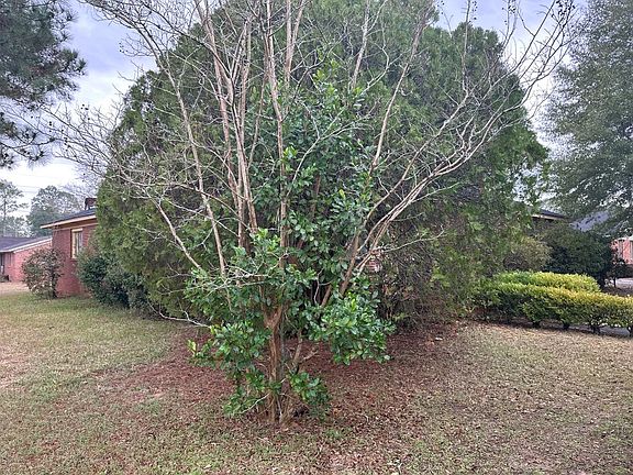 3rd image of 1700 Spruce Ln