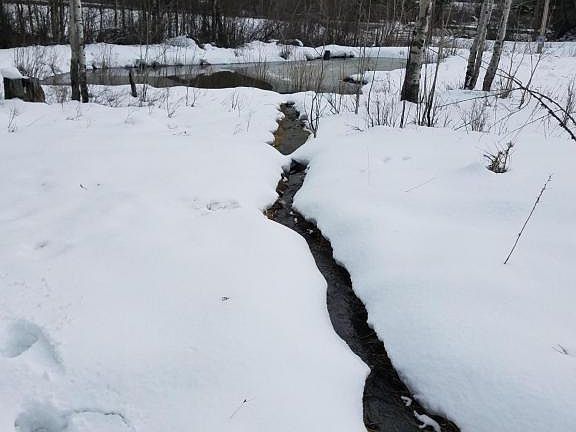 2nd image of 16400 Highway 93 N