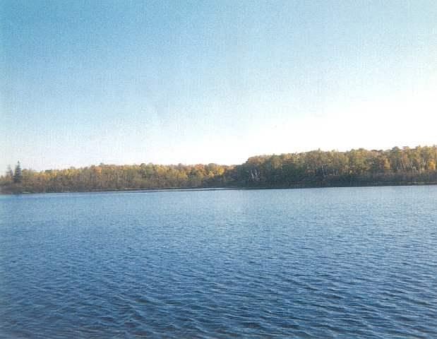 1st image of Birch Shores Dr