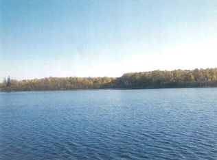 Birch Shores Dr, Trout Lake, MI 49793