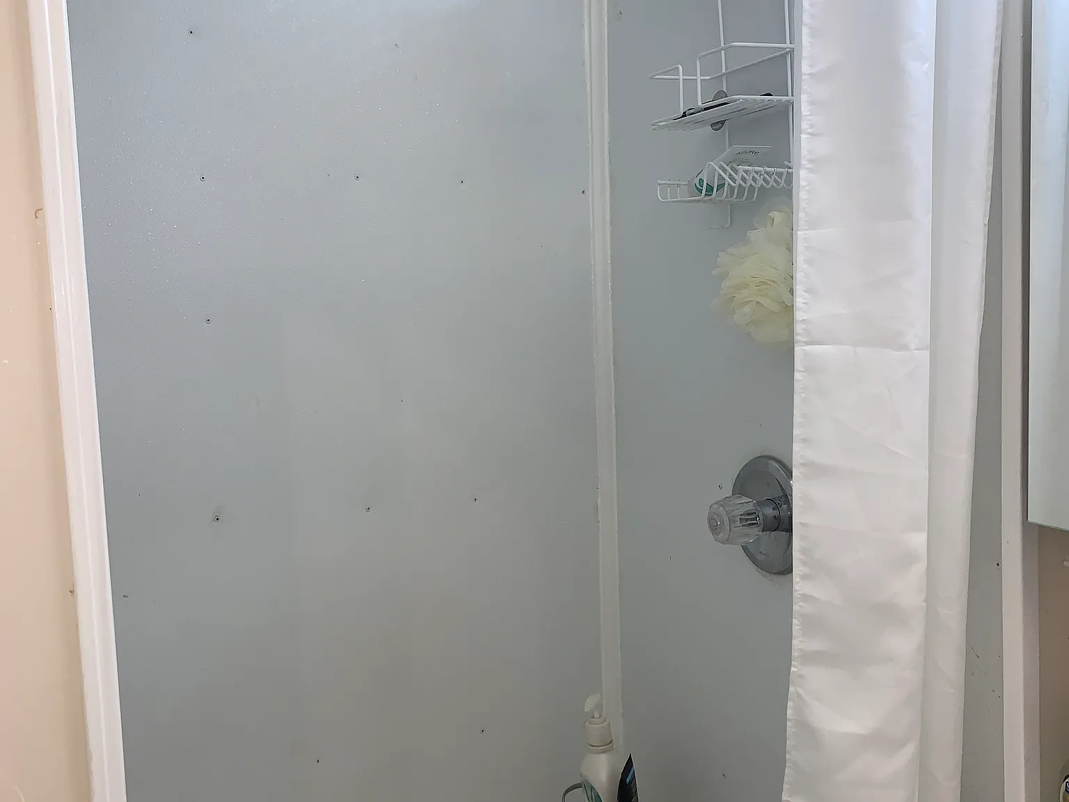 1 bed, 250 sqft, $1,200 — Photo 3