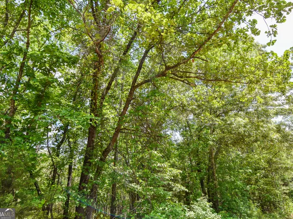 0 Skelton Rd Lot 14, Thomaston, GA 30286